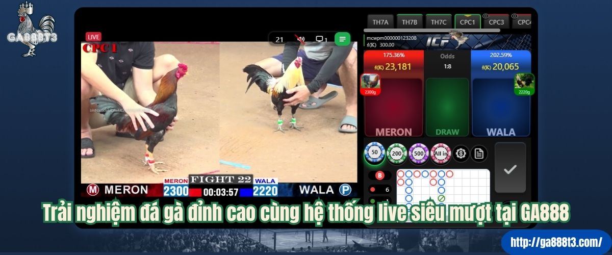 Trải nghiệm đá gà đỉnh cao cùng hệ thống live siêu mượt tại GA888